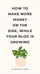 other ways to make money blogging while your blog grows